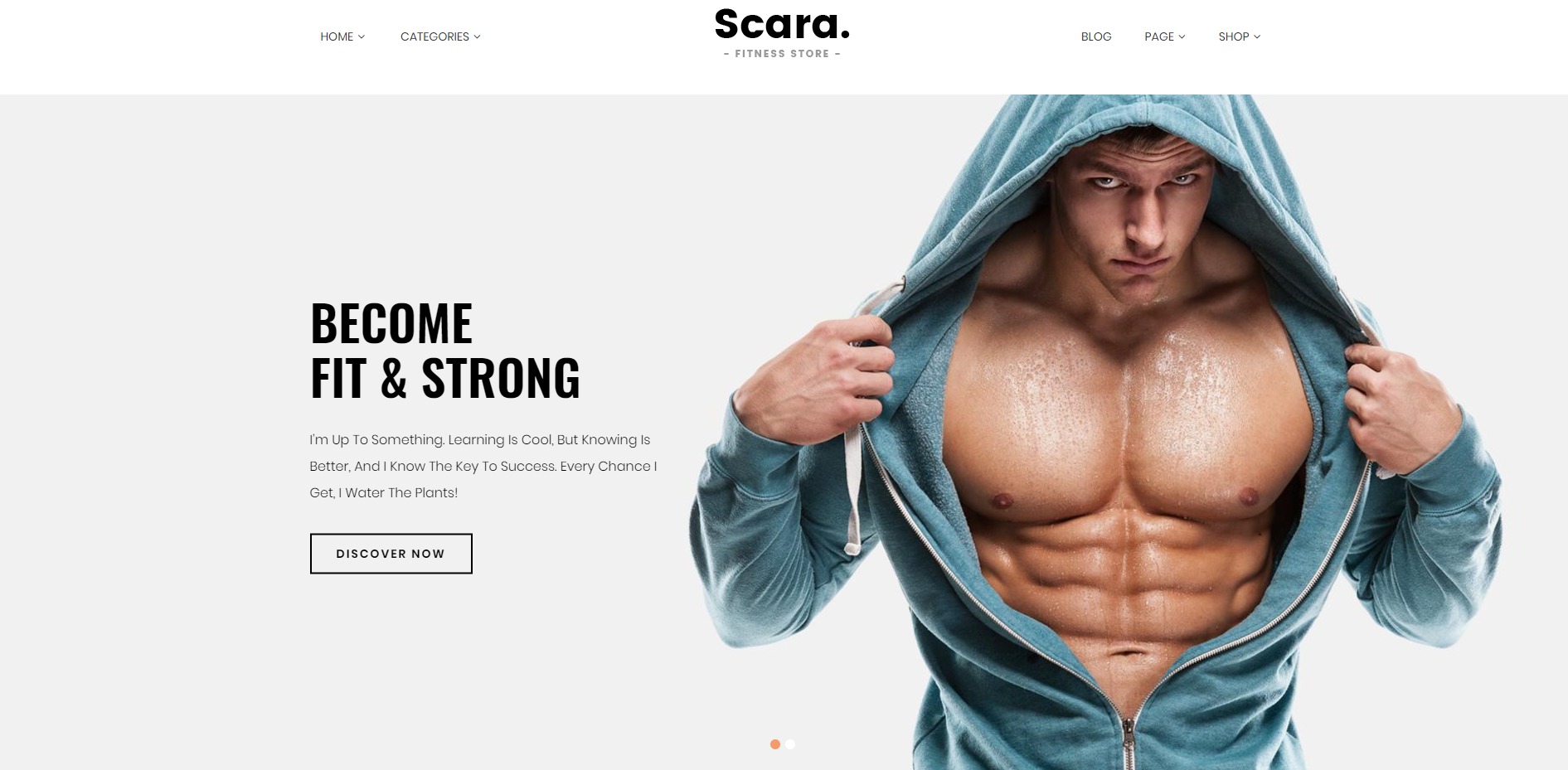 Scara theme