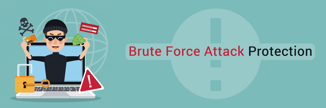 Brute Force Attack Protection