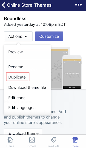 how to duplicate themes
