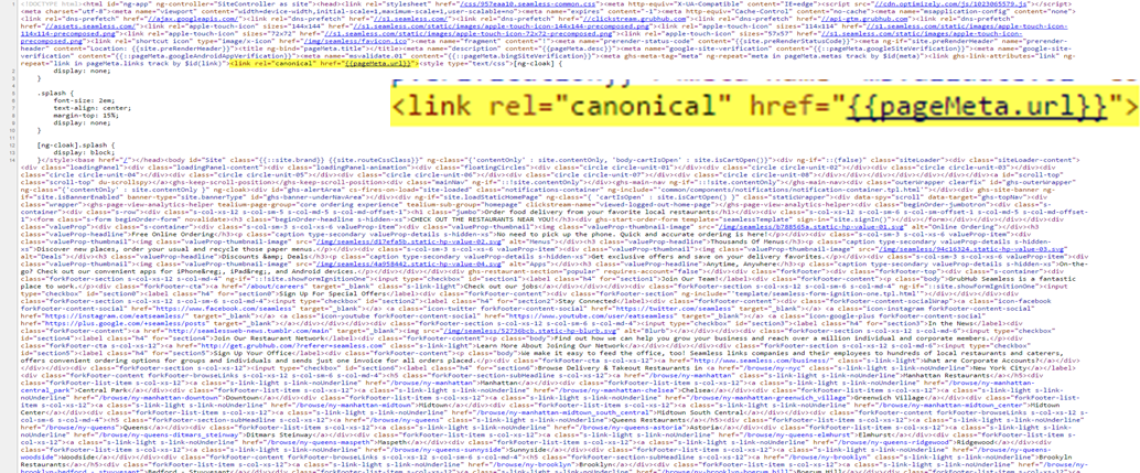 Rel Canonical