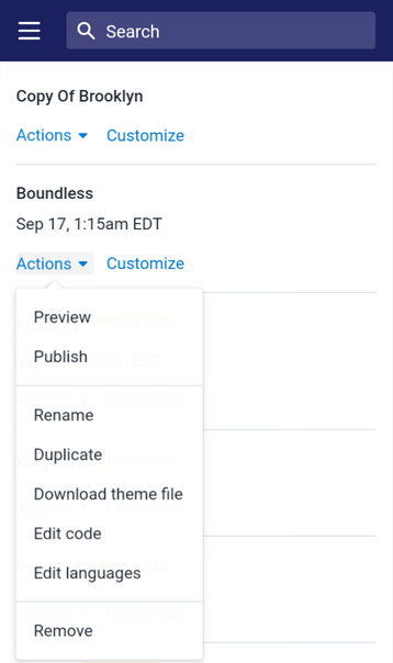 publish a theme from the admin